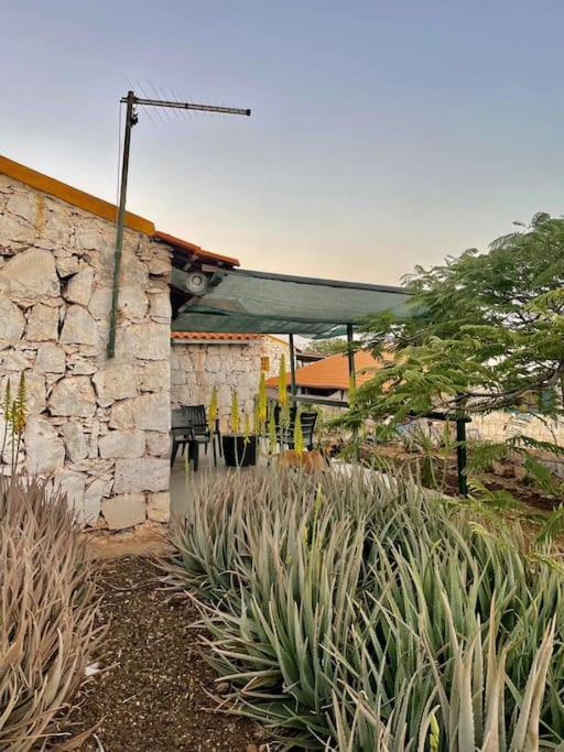 Casa Aloe Vera - Private House W/ Free Breakfast Cidade Velha エクステリア 写真