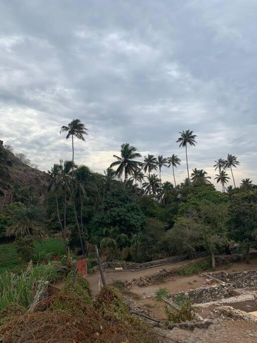 Casa Aloe Vera - Private House W/ Free Breakfast Cidade Velha エクステリア 写真