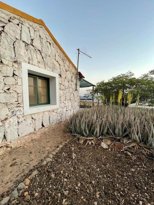 Casa Aloe Vera - Private House W/ Free Breakfast Cidade Velha エクステリア 写真