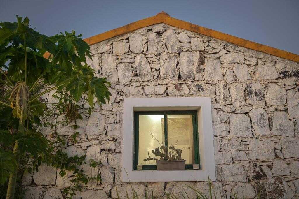 Casa Aloe Vera - Private House W/ Free Breakfast Cidade Velha エクステリア 写真