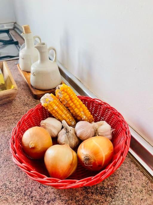 Casa Aloe Vera - Private House W/ Free Breakfast Cidade Velha エクステリア 写真