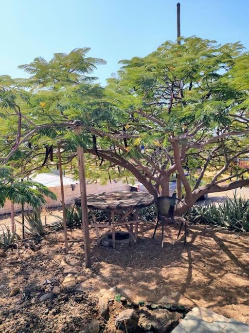 Casa Aloe Vera - Private House W/ Free Breakfast Cidade Velha エクステリア 写真